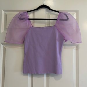 Endless Rose Sheer Purple Top